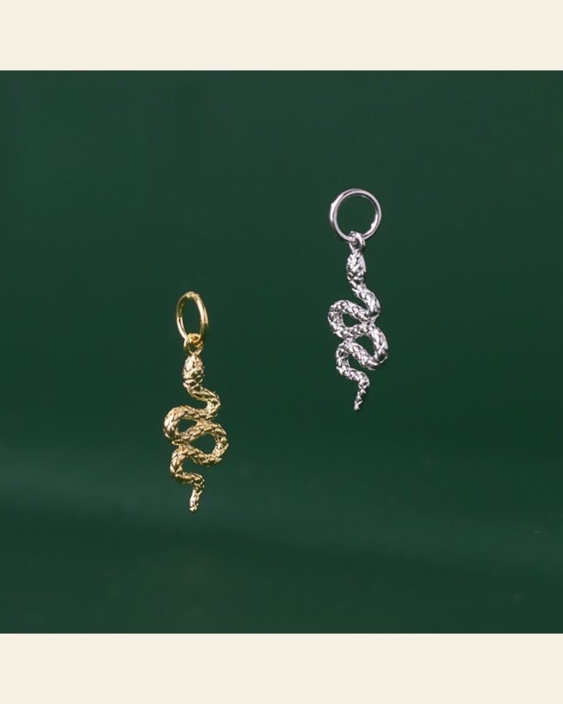 Sterling Snake Charm