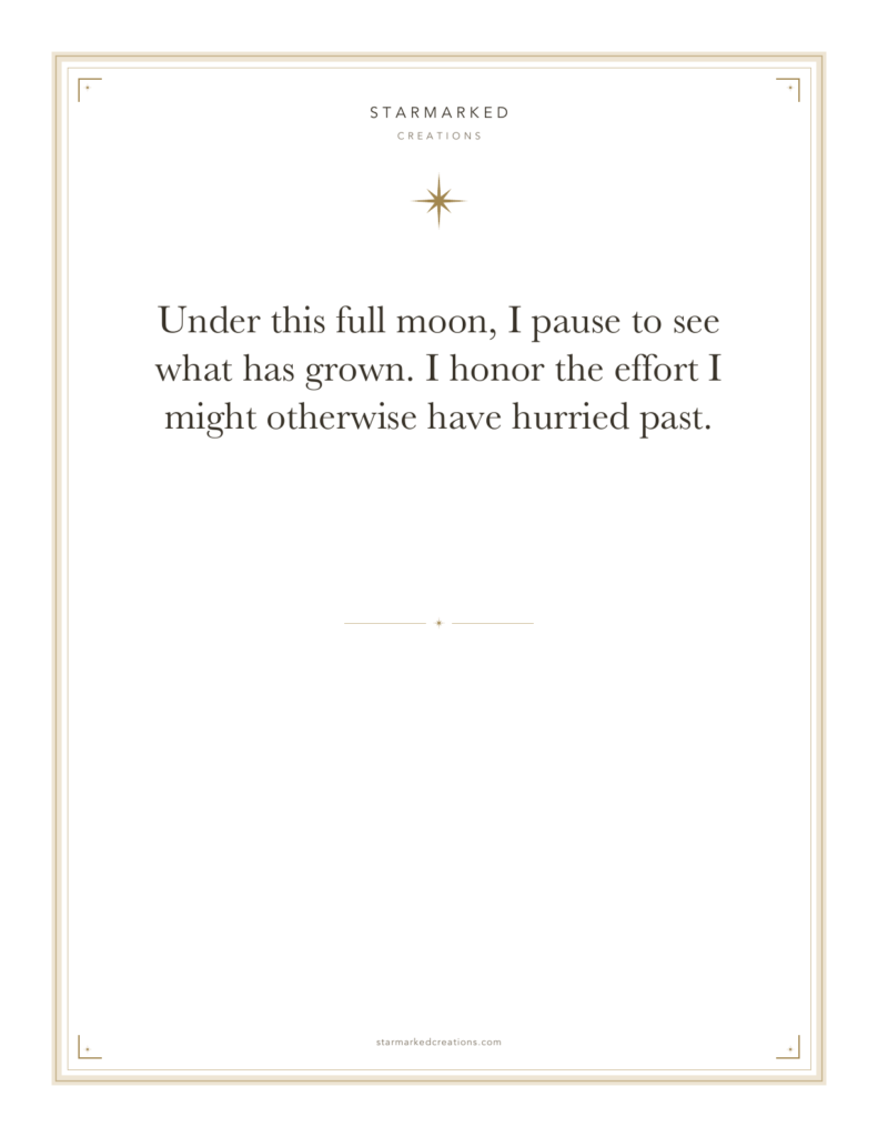 Under this full moon, I pause to see what has grown. I honor the effort I might otherwise have hurried past.